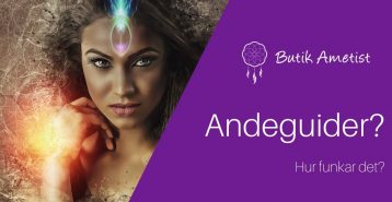 andeguider andliga guider
